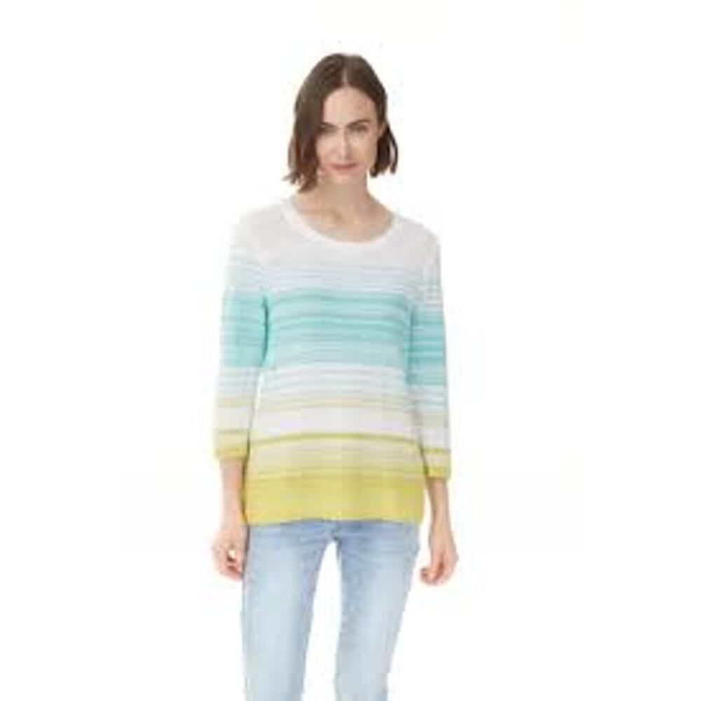 CHARLIE B Women's Striped Scoop Neck Long Sleeve Sweater Blue/Green Size Large